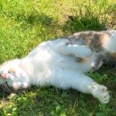 신탄진 오락실 이미지