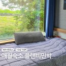 플랜비민박 | 제주서쪽 1인숙소 플랜비민박 가성비 추천