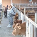 이창재 농장 이미지