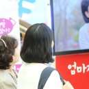 홍초PC 네이버블로그