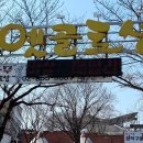 유황생오리 이미지