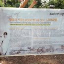 고모령길 이미지