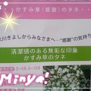 키요시 이미지