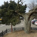 융릉ㆍ건릉 이미지