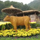 횡성한우 이미지