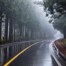 (주)비비비 이미지