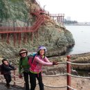 감정초교 이미지