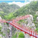 장풍숲위 이미지