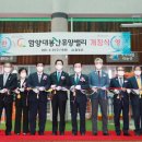 산삼휴양밸리(대봉캠핑랜드) 이미지