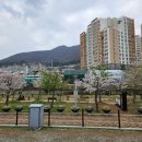 진해세화여자고등학교 이미지