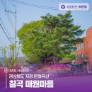 매원 | 경상북도 지정 문화유산, 칠곡 매원마을