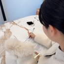 동행 애견 돌봄 센터 김포점 | 동행 애견돌봄센터 김포점에서 만난 새로운 가족