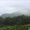 돌담산장민박 이미지