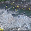 백제초등학교 이미지