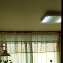 지성커텐