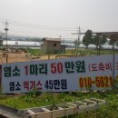 홍우농장 이미지