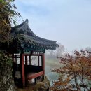 동익산역 앞 가로수 식재 | 청주 관정리 백석정과 은행나무