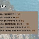 감전제일상가 이미지