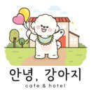 하남애견