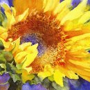 컬러풀 수채화 이미지