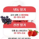 선호냉동 이미지