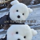 회전목마주