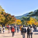 나주현대서비스(주) 이미지