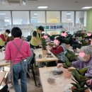 노인행복지원센터 | [안양시만안노인주간보호센터] 반려식물 지원사업 참여후기