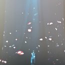 앵콜 | 🩵레드벨벳 웬디 W:EALIVE 앵콜 콘서트 후기🩵