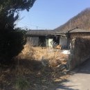 경북 영천시 화북면 촌집(폐가)매매 / 58평 / 3천만! 이미지