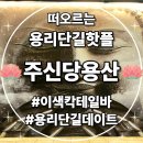 용산-180 | 용리단길핫플 주신당용산 십이지신 컨셉의 독특하고 신비로운 칵테일바 체험 후기