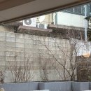 대흥밧데리 이미지