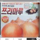 황양파 적양파 이미지