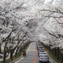 호암미술관 이미지