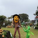 제주 파파빌레 10월 할로윈 명소 아이랑 가볼만한 숲카페 (ft. 핼러윈 코스튬)