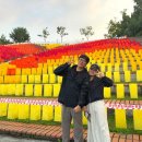 강원도 원주 가볼만한곳 2024 원주 한지축제 한지문화제