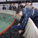 대왕수산 이미지