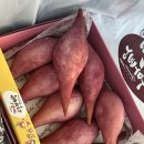 원조 해남고구마빵 피낭시에 - 6463 | 원조 해남고구마빵 피낭시에 내돈내산 후기
