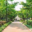 황금내근린공원 이미지