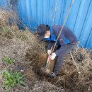 신대1리 이미지