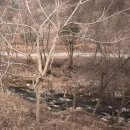 뱅크인테리어장식 이미지