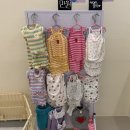 신세계 애견미용샵 | 김해 장유 애견미용샵 또도독 푸들 스파 미용 후기