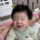 아리코베베 빕 아기턱받이 스카프빕 사용후기