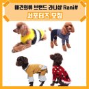 라니네 애견샵 이미지