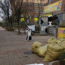 평촌초등학교 앞 이미지
