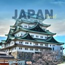 금 성 | 2026 나고야여행 필수코스: 나고야성 벚꽃축제 일정 및 실시간 개화 후기