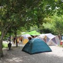 자작나무 펜션 이미지