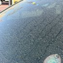 컴인워시 | 실망한가득…노터치세차 컴인워시 내돈내산후기