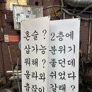 별빛술상