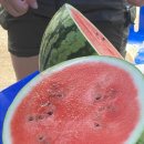 쎄렌체 팬션 이미지